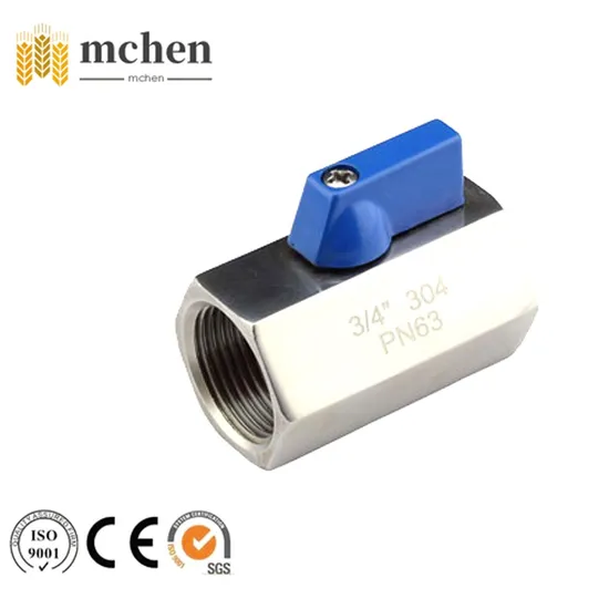 304 Stainless Steel Mini HS Code Ball Valve Pn10 Blue Handle
