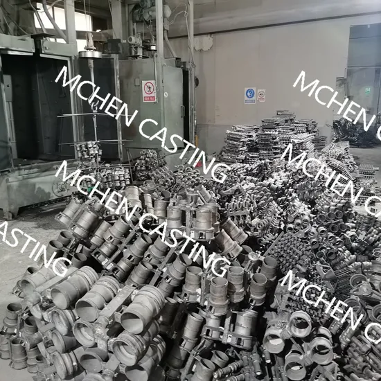 304 316 Stainless Steel Pipe Camlock Quick Coupling Fitting