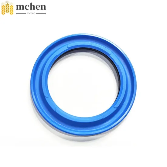 Export O Ring Rubber with High-Quality Performance FKM/NBR Silicone Material Oring Seal Gaskets