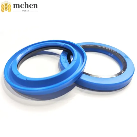 High Quality Wholesale Tc NBR Oil Seal Tc FKM Oil Seal Rubber Oil Seal Manufacturer in China
