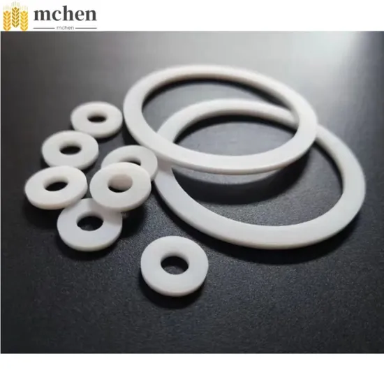 PCTFE Gasket PCTFE Flat Gasket Used for LNG Cryogenic Sealing