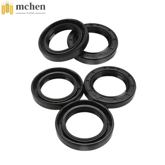 Stainless Steel 316 304 Pipe Fitting Fluorin Rubber Camlock Coupling OEM Gaskets