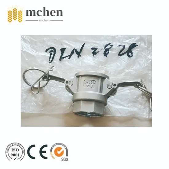 Hose Fitting with Safety Clamps En 14420/DIN 2817 Thread Connections En14420-5