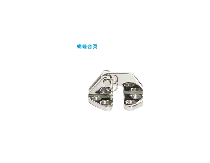 Side Mounted Hinge