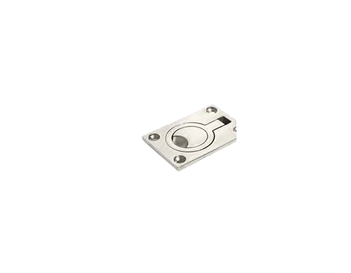 Eye Plate With Ring